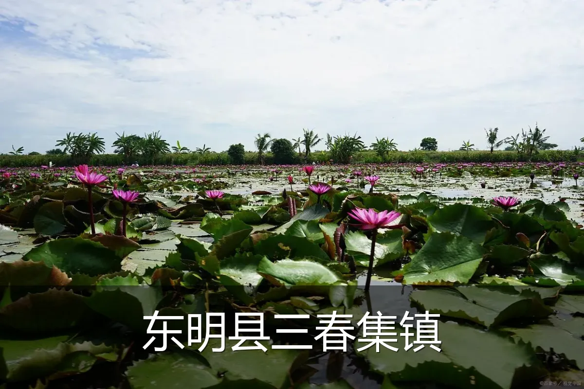 东明县三春集镇
