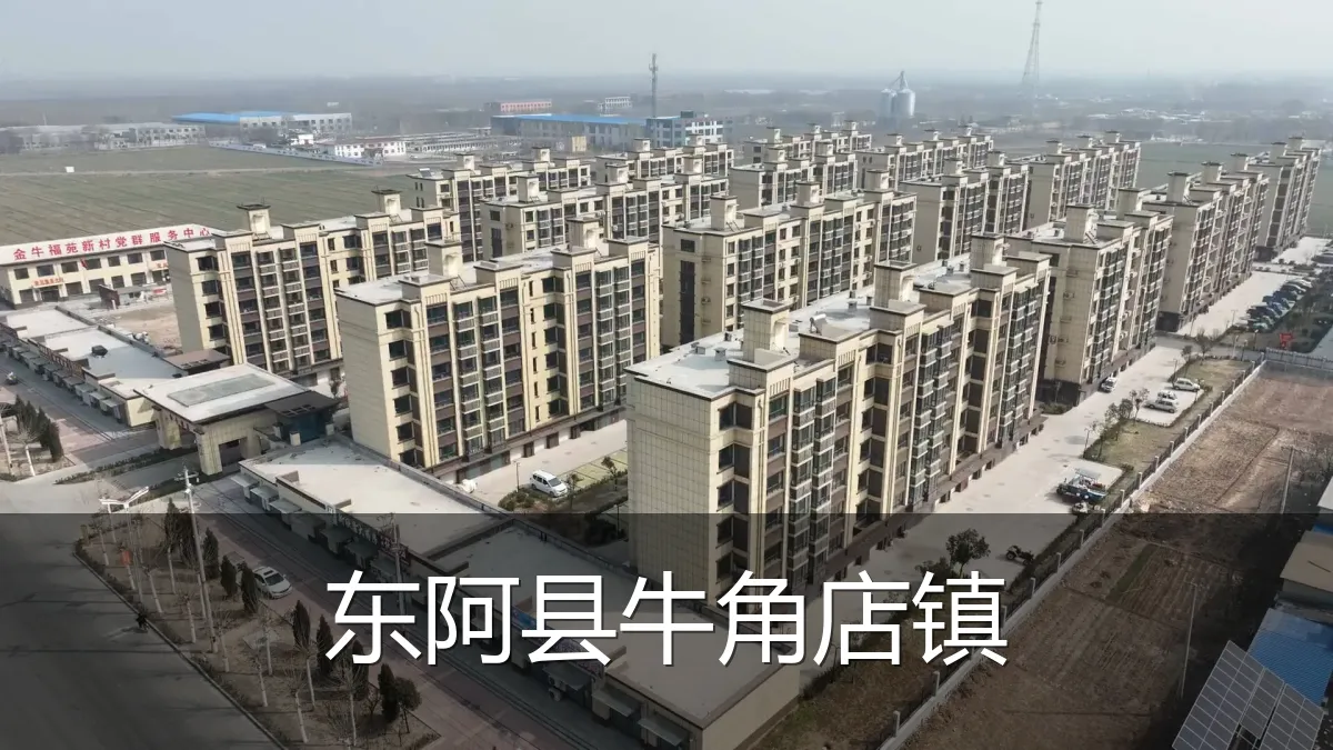 东阿县牛角店镇