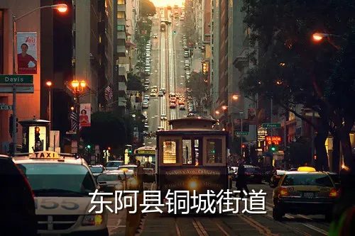 东阿县铜城街道