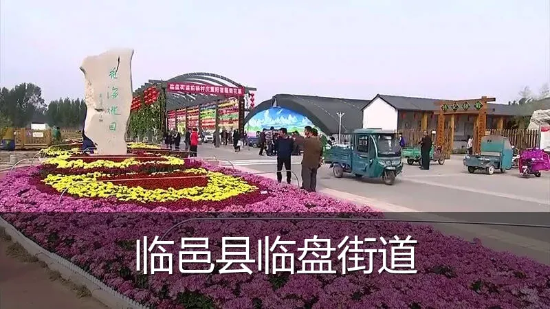 临邑县临盘街道