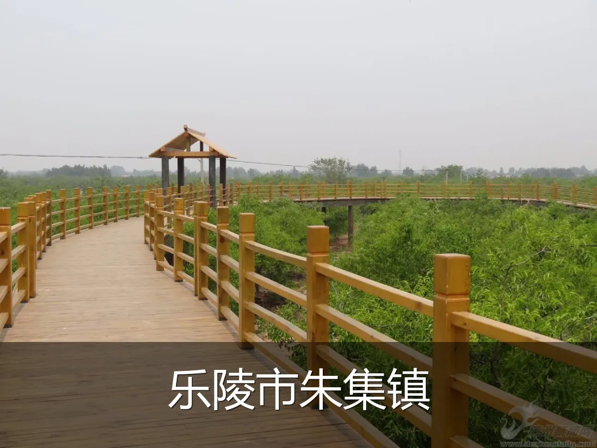 乐陵市朱集镇