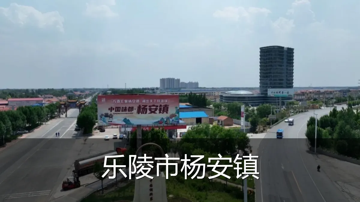 乐陵市杨安镇
