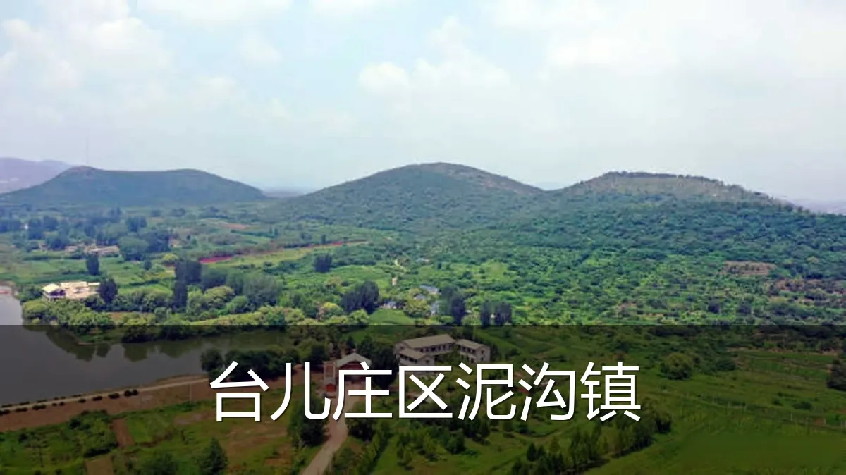 台儿庄区泥沟镇
