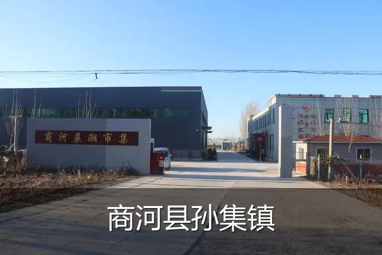 商河县孙集镇