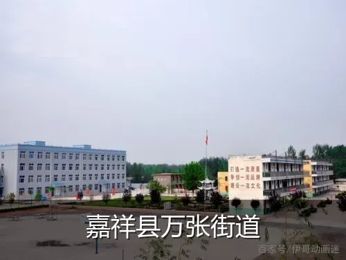 嘉祥县万张街道