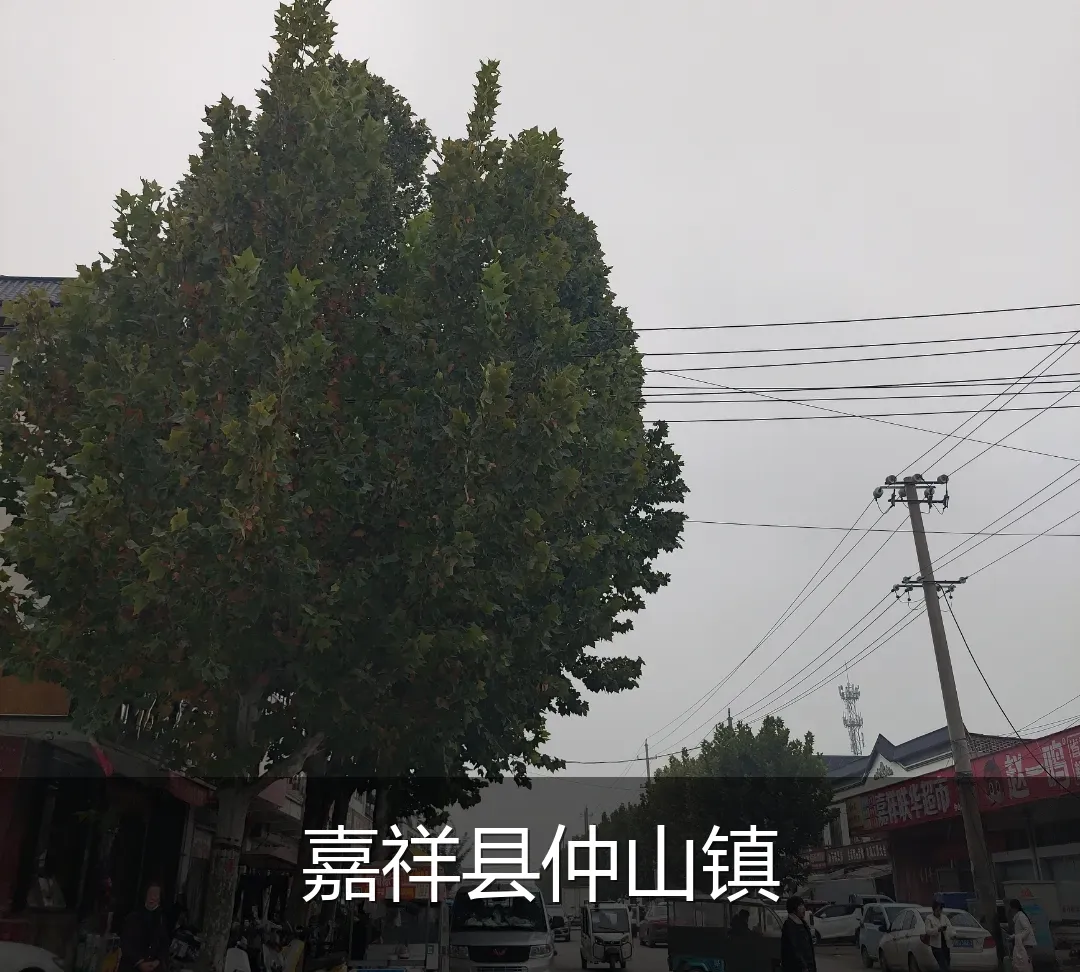 嘉祥县仲山镇