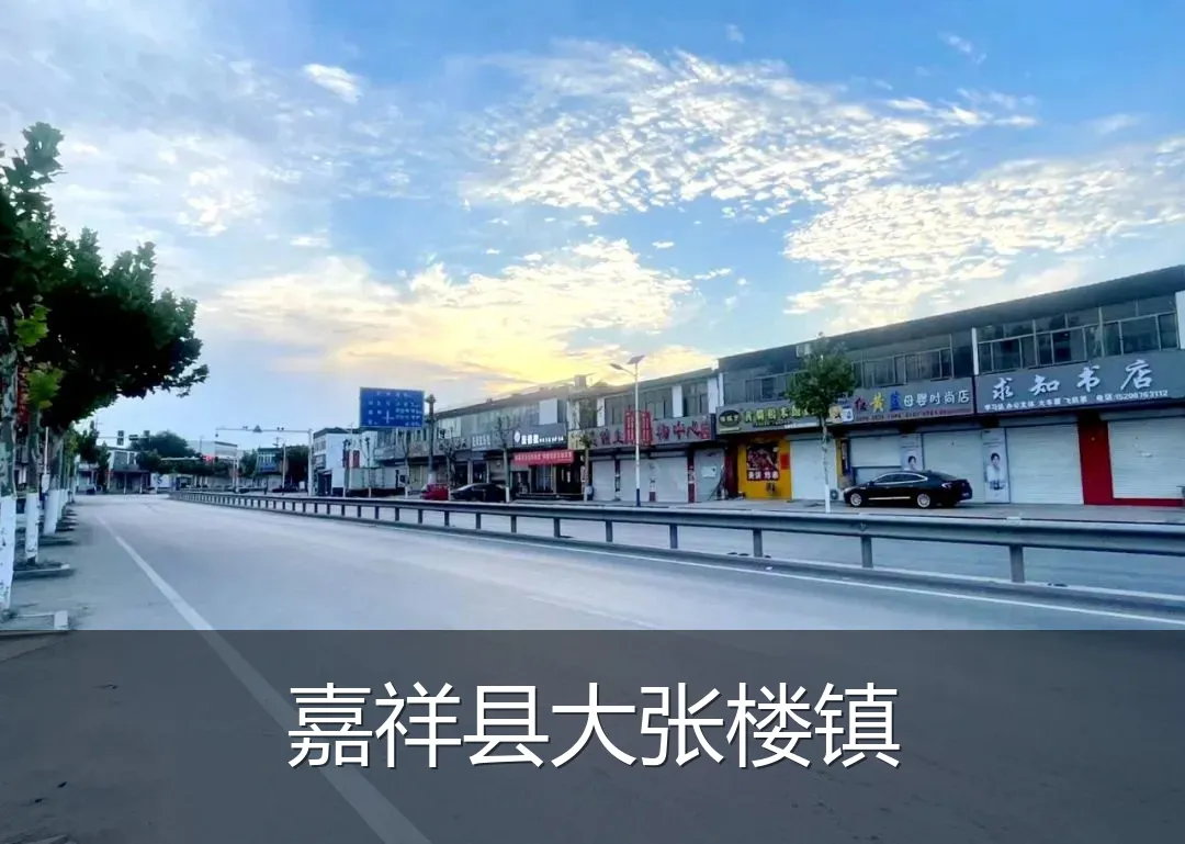 嘉祥县大张楼镇