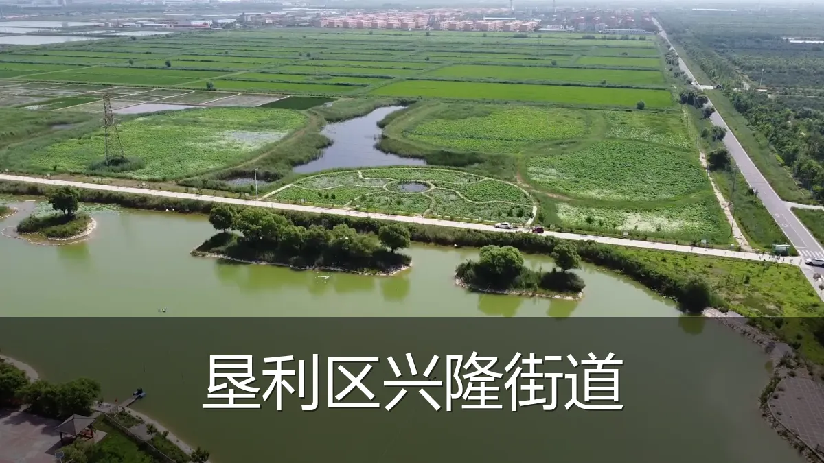 垦利区兴隆街道