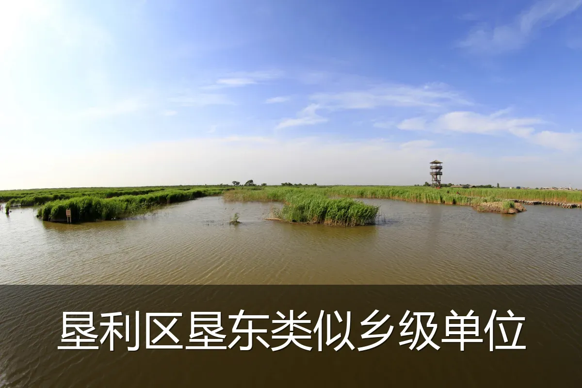垦利区垦东类似乡级单位
