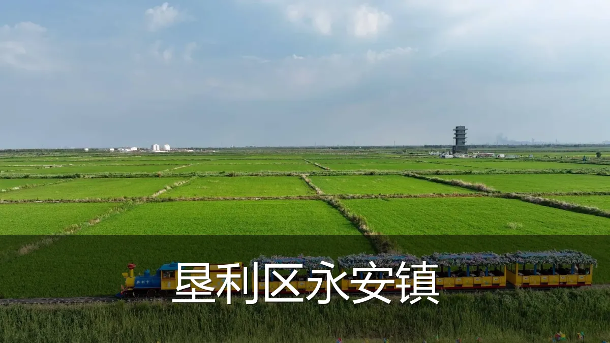 垦利区永安镇