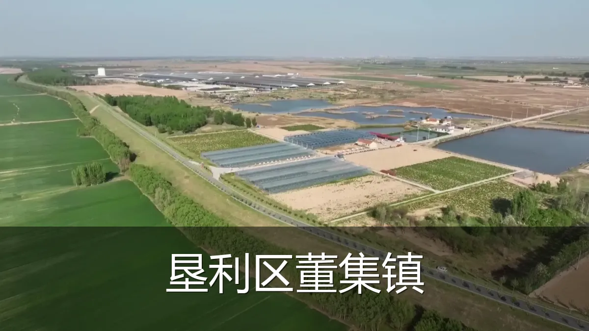 垦利区董集镇