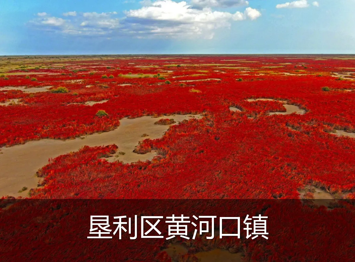 垦利区黄河口镇