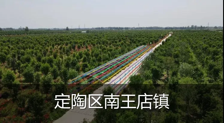 定陶区南王店镇