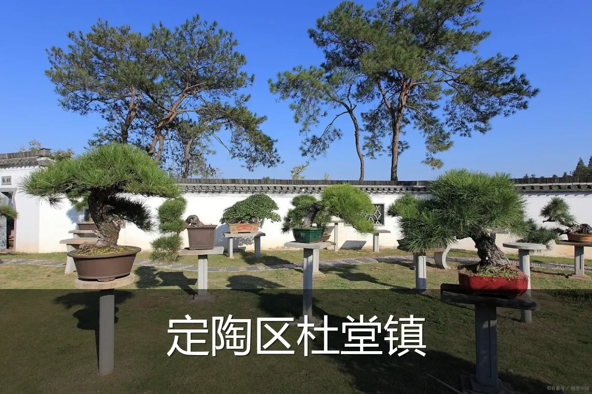 定陶区杜堂镇