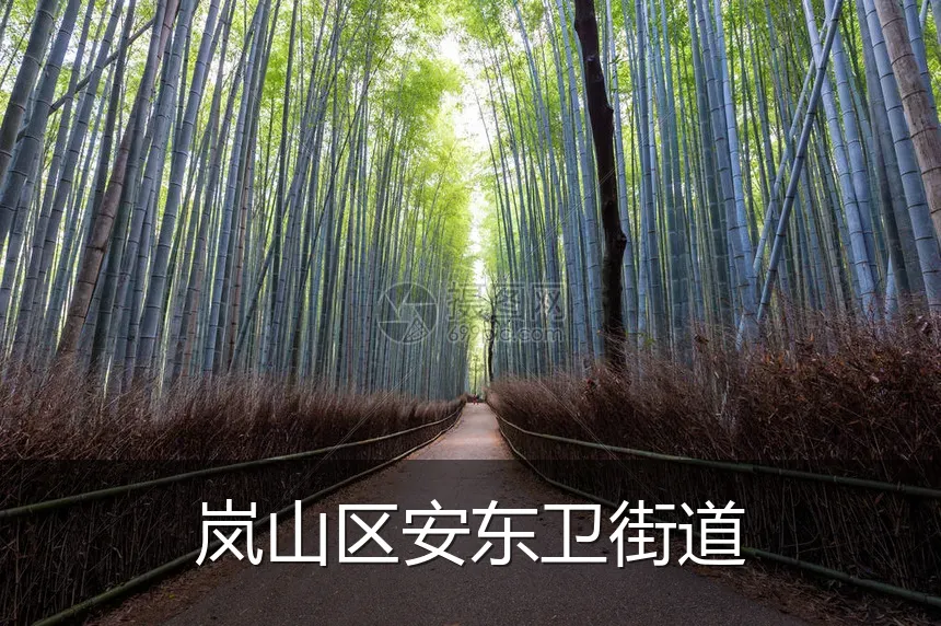 岚山区安东卫街道