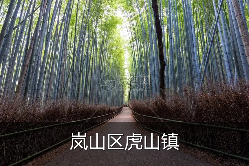 岚山区虎山镇