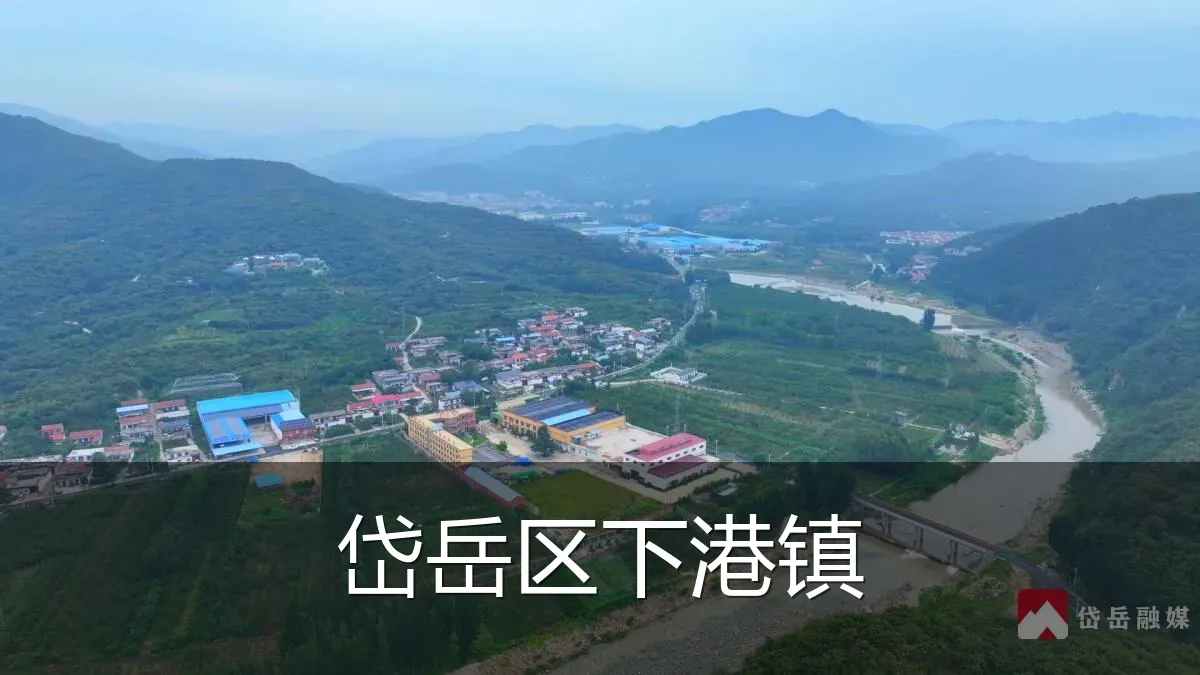 岱岳区下港镇