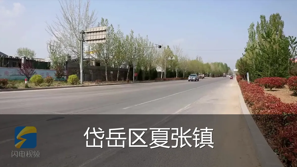 岱岳区夏张镇