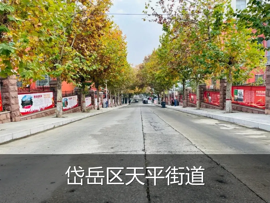 岱岳区天平街道