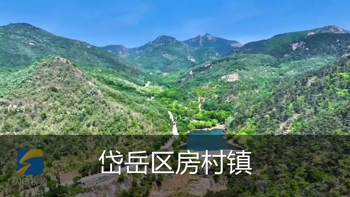 岱岳区房村镇
