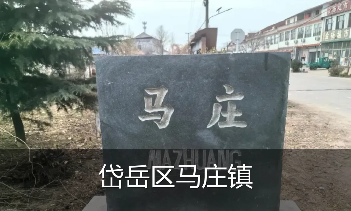 岱岳区马庄镇