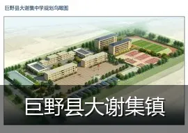 巨野县大谢集镇