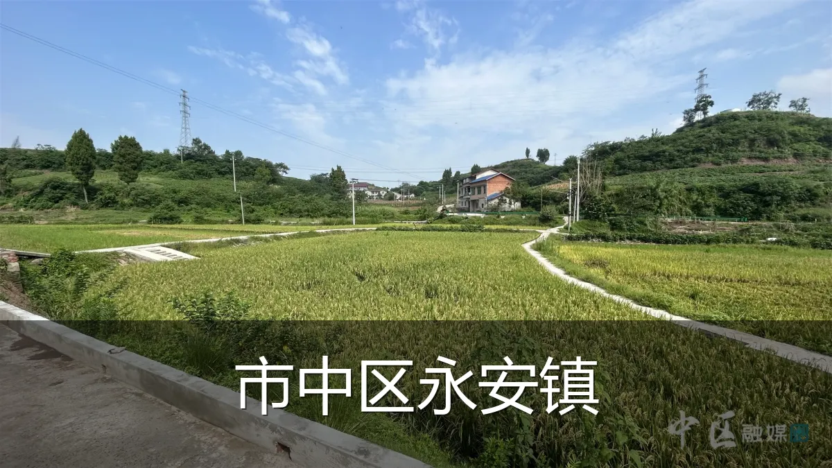 市中区永安镇