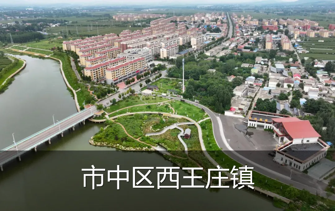 市中区西王庄镇