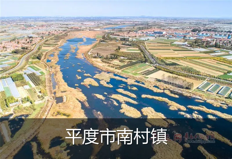 平度市南村镇