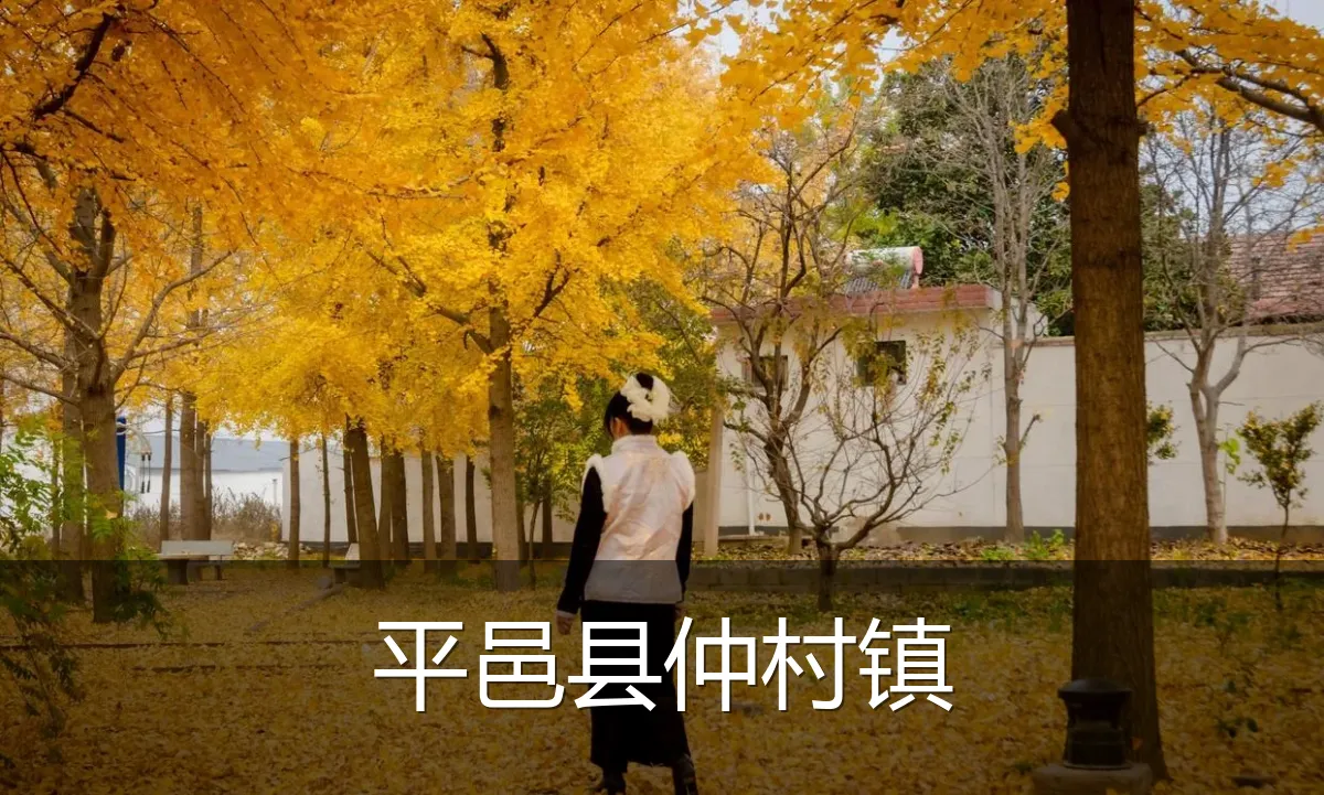 平邑县仲村镇