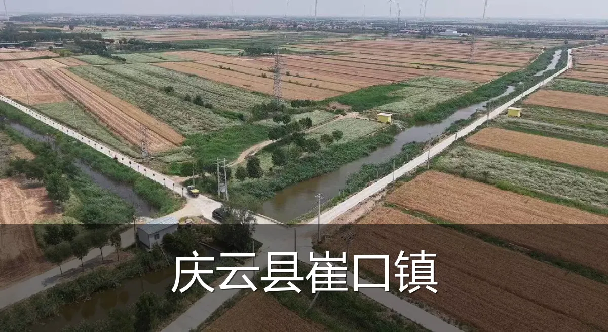 庆云县崔口镇