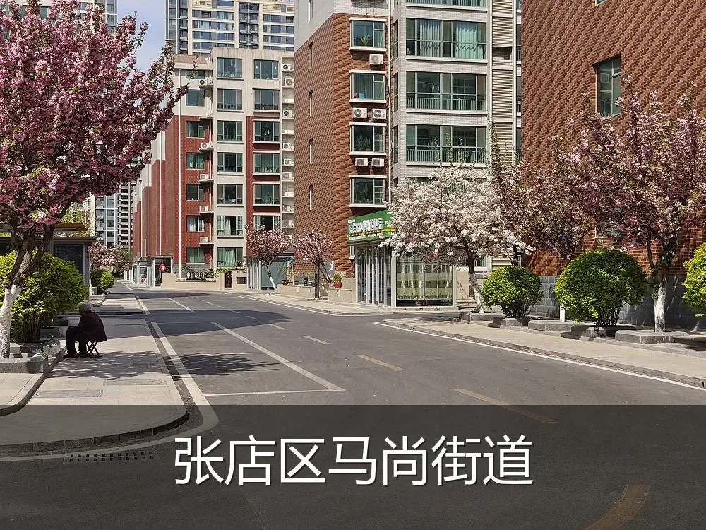 张店区马尚街道