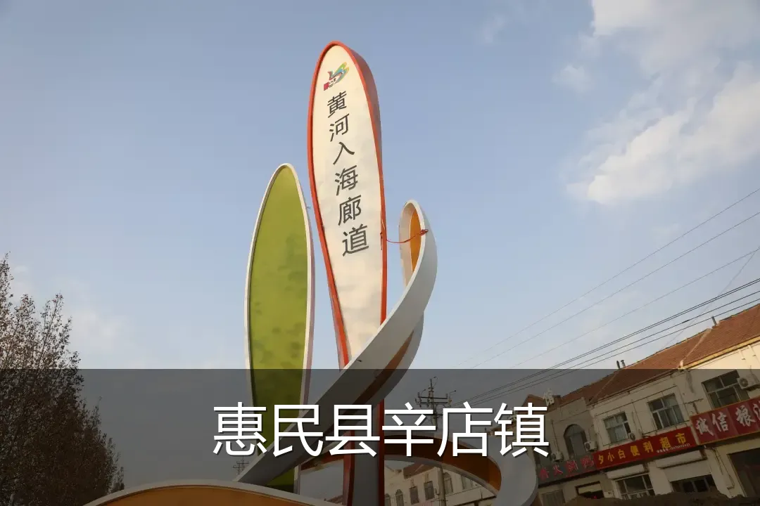 惠民县辛店镇
