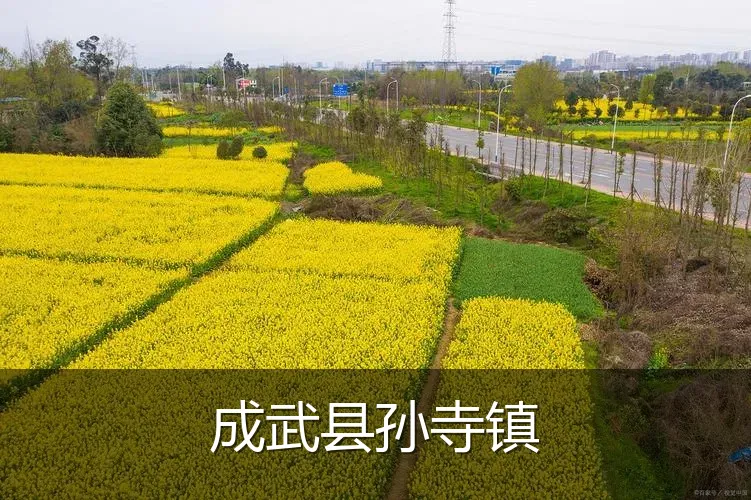 成武县孙寺镇