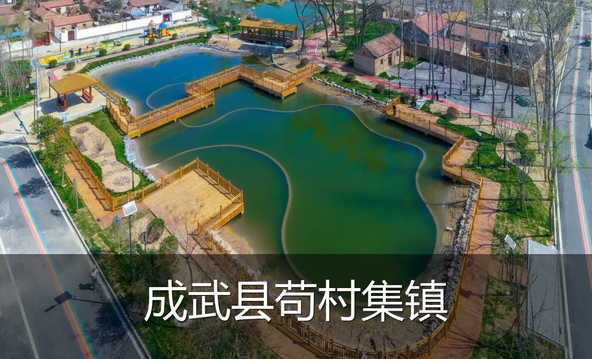 成武县苟村集镇