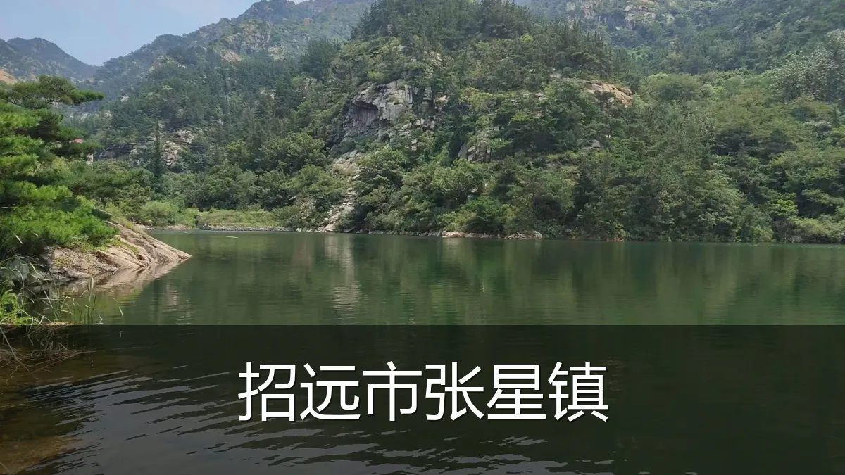招远市张星镇