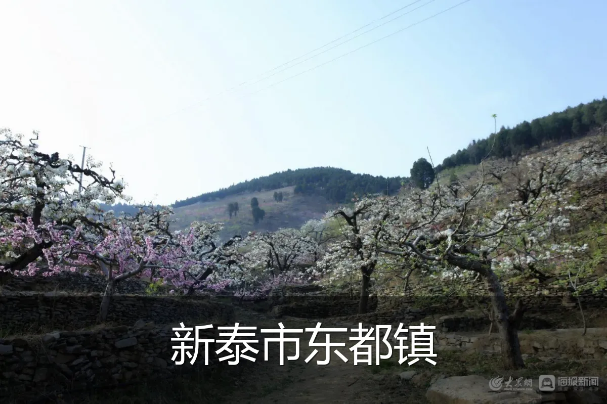 新泰市东都镇