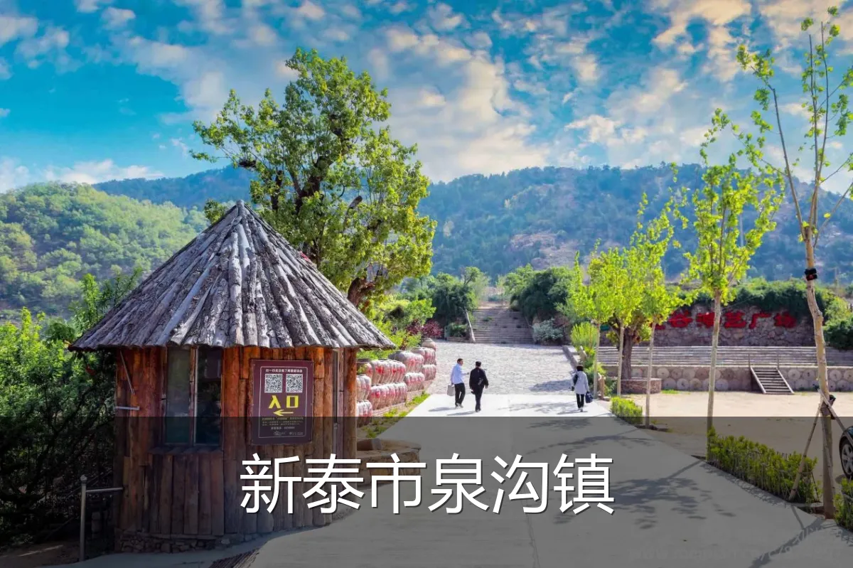 新泰市泉沟镇