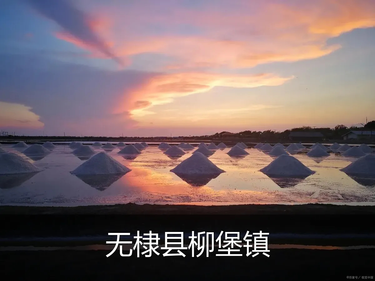 无棣县柳堡镇