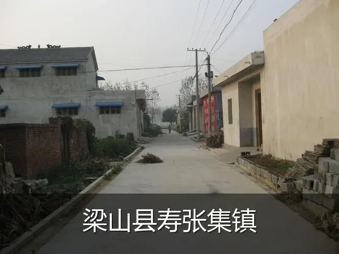梁山县寿张集镇