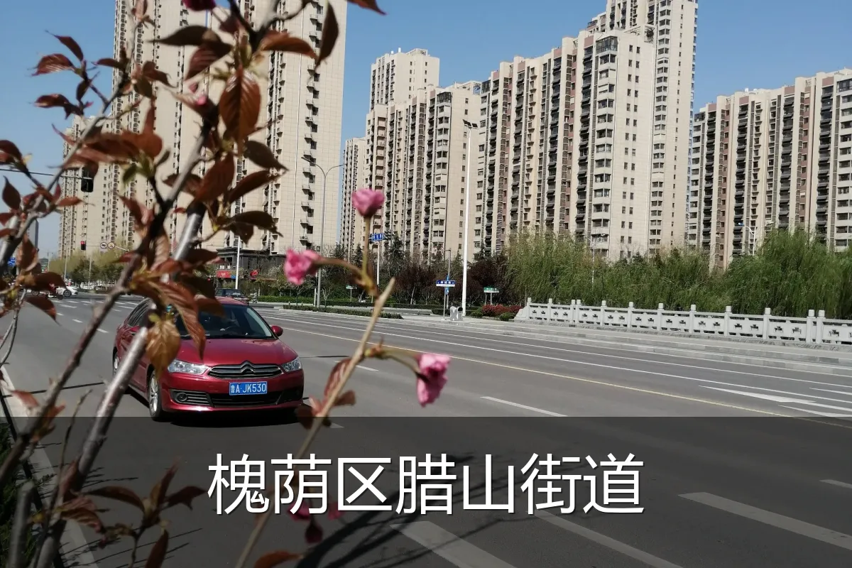 槐荫区腊山街道