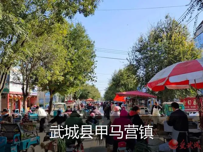 武城县甲马营镇