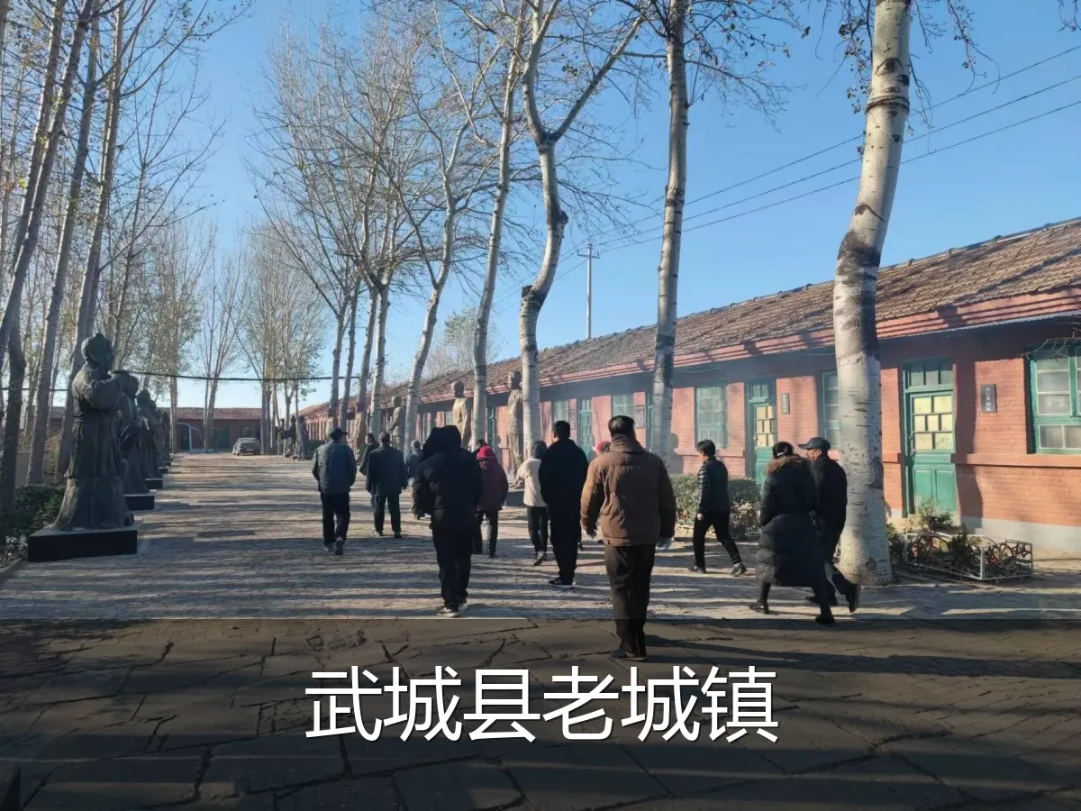 武城县老城镇