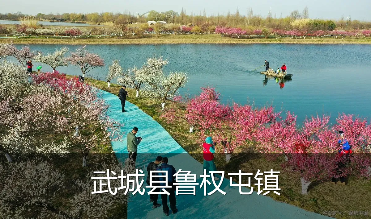 武城县鲁权屯镇