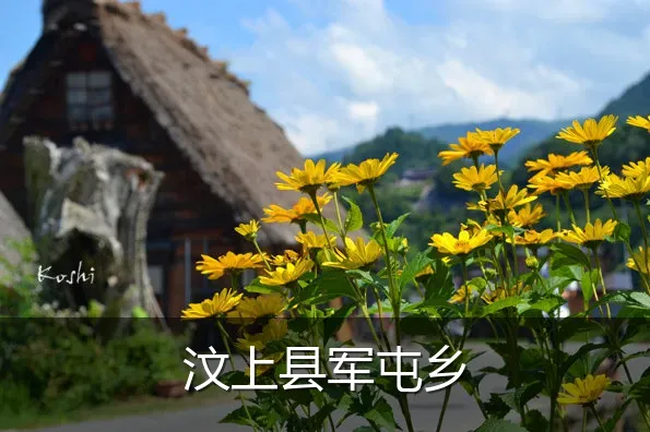 汶上县军屯乡