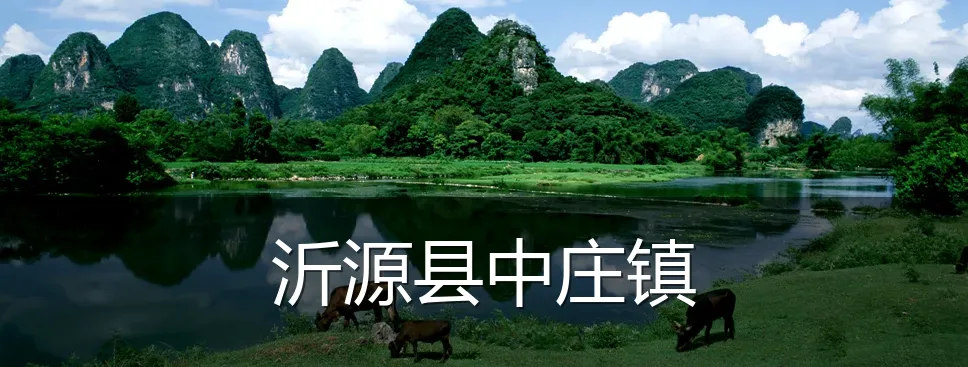 沂源县中庄镇
