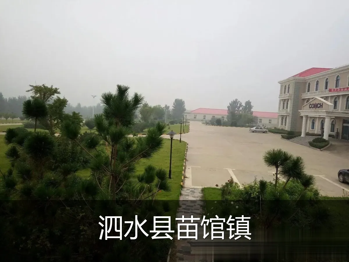 泗水县苗馆镇