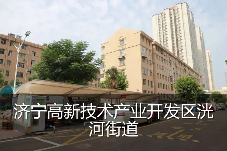 济宁高新技术产业开发区洸河街道