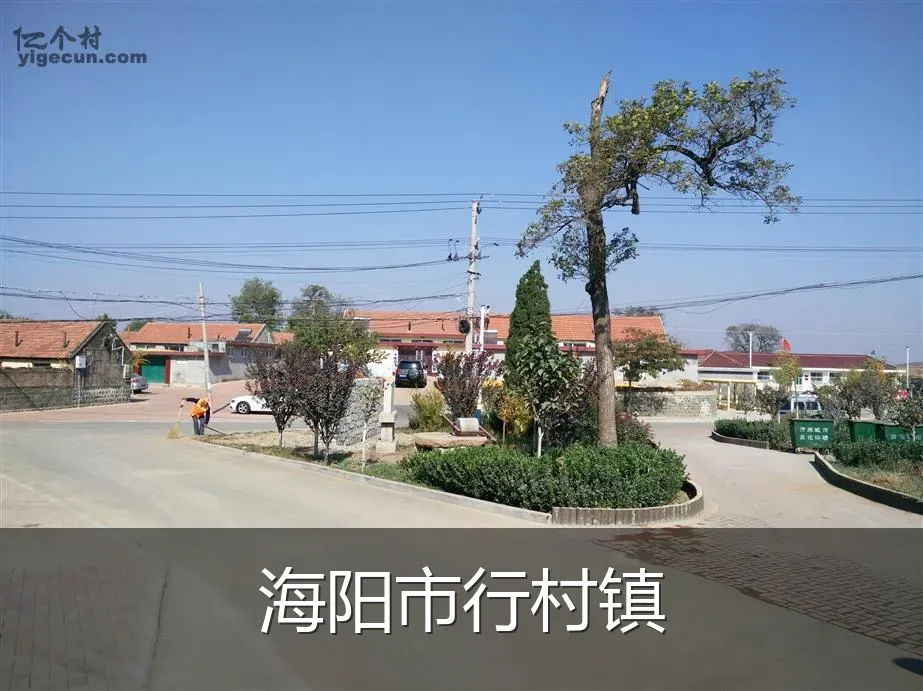 海阳市行村镇