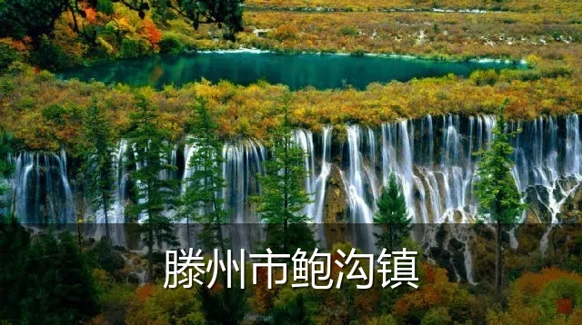 滕州市鲍沟镇